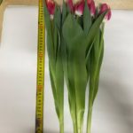 big_55