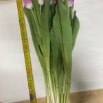 big_58